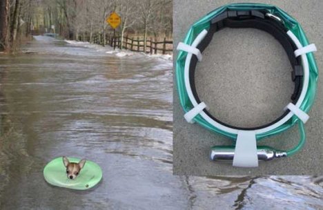 Float-a-Pet System Rids Drowning Fears