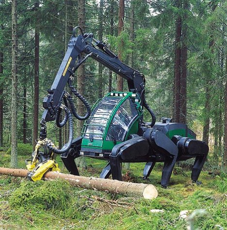 logging-spider.jpg