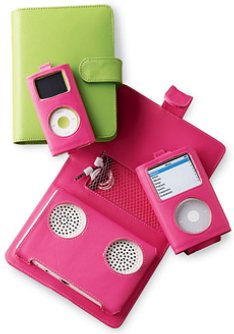 MP3 Player Travel Case