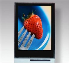 TMDisplay 2.2-inch OLED Panel