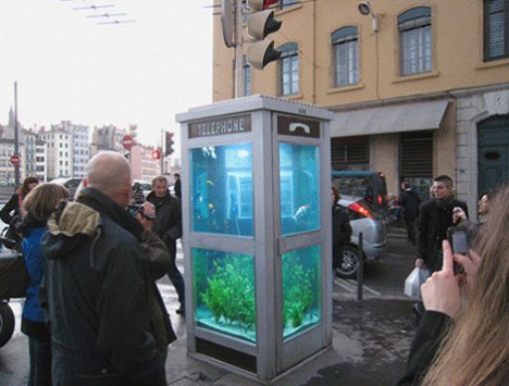 Phone Booth Is Now An Aquarium