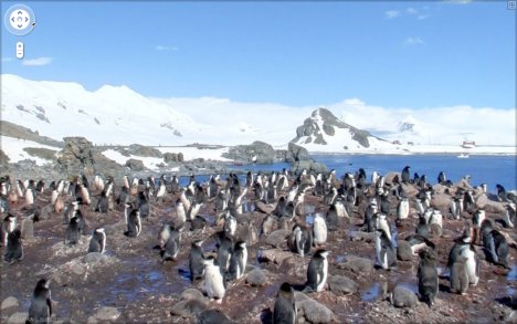 Google Street View Visits The Antarctica Now