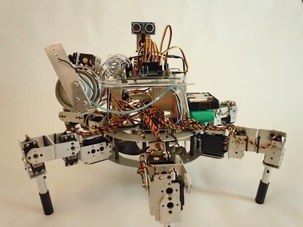 Prospero robot plants seeds regardless of outside weather Prospero robot plants seeds regardless of outside weather