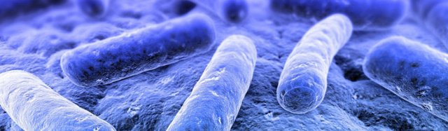 MyMicrobes an online social network with a twist MyMicrobes an online social network with a twist