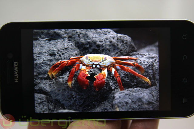 Huawei Honor Review