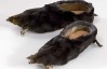 Hooved shoes induce Shut up and take my money already syndrome Hooved shoes induce Shut up and take my money already syndrome
