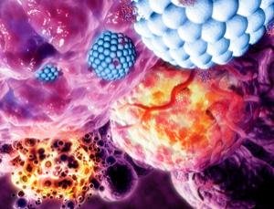 Drug smuggling Nanoparticles Target Tumors Drug smuggling Nanoparticles Target Tumors