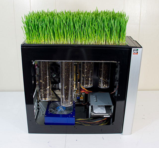Bio computer grows wheatgrass using its own heat Bio computer grows wheatgrass using its own heat