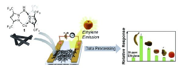 Inexpensive Nanotube Sensor Measures Ripeness of Fruit Inexpensive Nanotube Sensor Measures Ripeness of Fruit