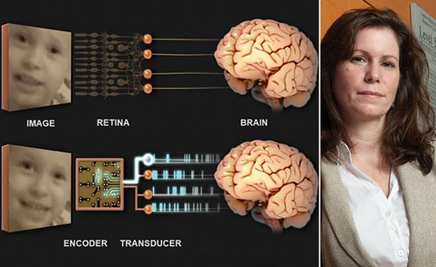 Electronic device could restore sight to millions Electronic device could restore sight to millions