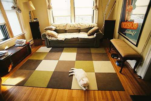 Researchers ready magic carpet for nursing homes Researchers ready magic carpet for nursing homes