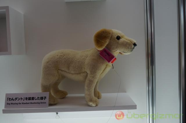 Fujitsu brings pet care to the cloud Fujitsu brings pet care to the cloud