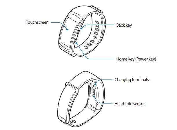 xiaomi amazfit bip pace youth