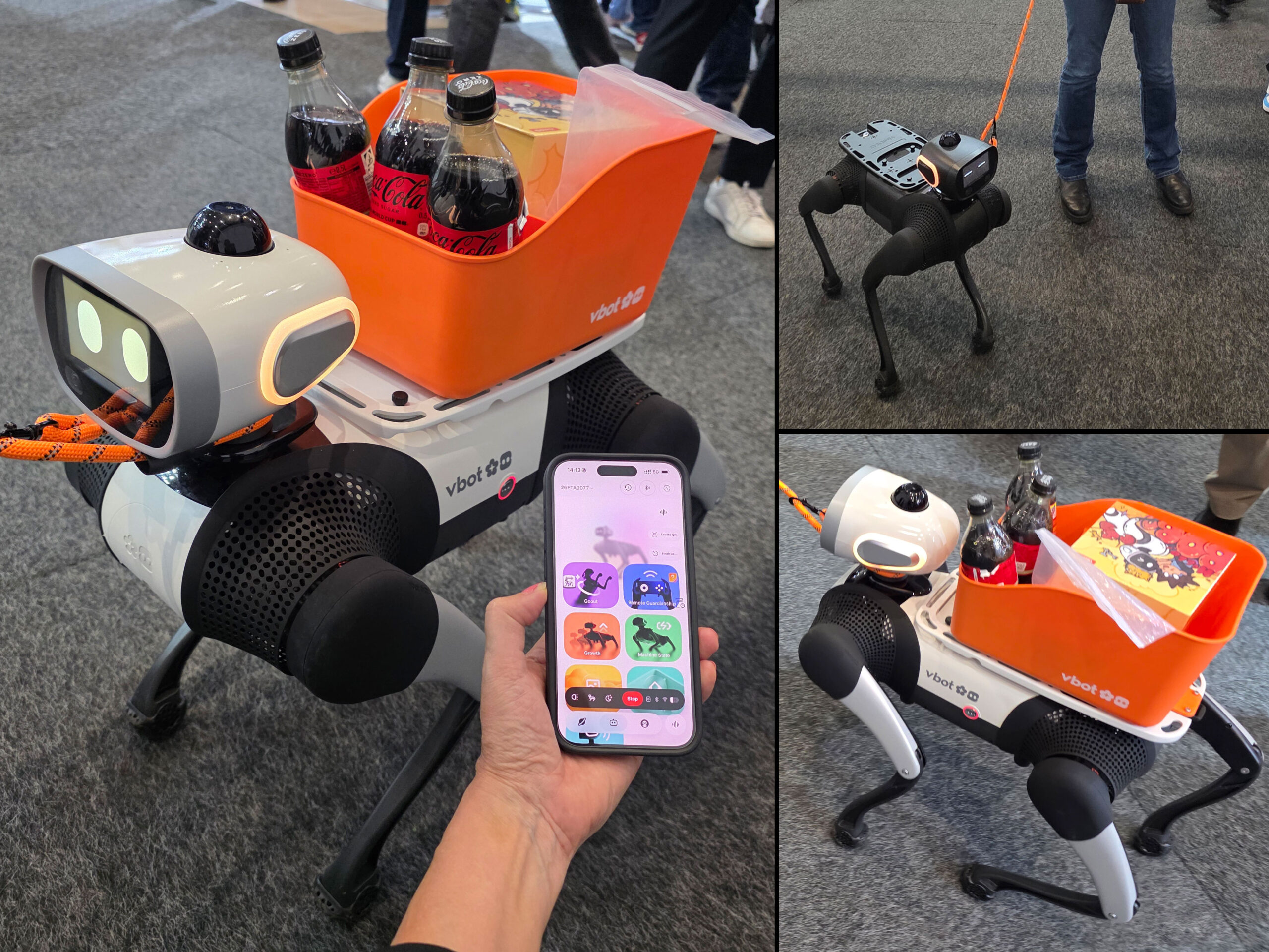Vbot вывела робота-собаку SuperDog в Европу за €2988